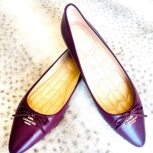 Coach Burgundy Leather Pointed Toe Annabel Flat- size 10. Never used